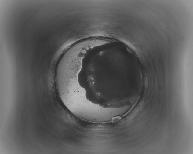 X0000111831359200908061147