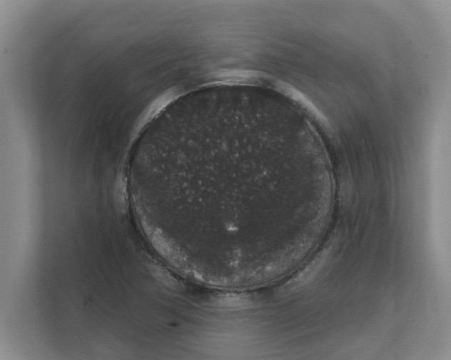 X0000111831362200908061147