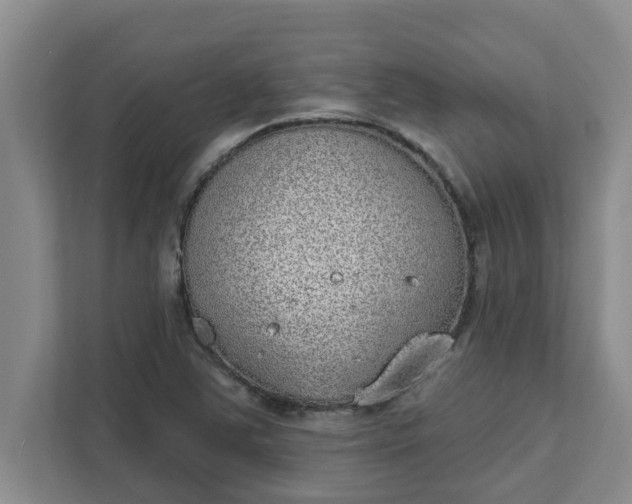 X0000111831363200908061147