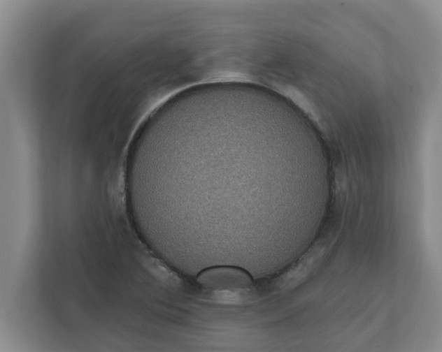 X0000111831364200908061147
