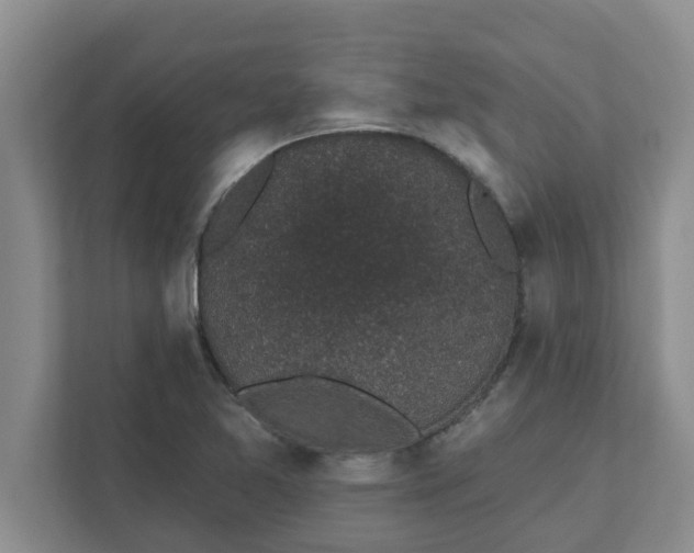 X0000111831365200908061147