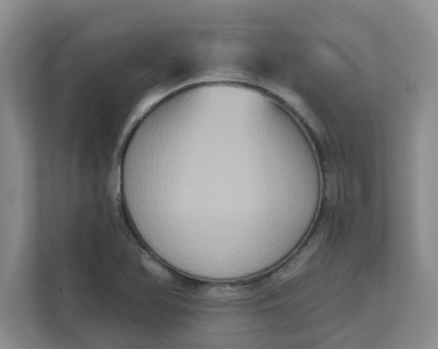 X0000111831366200908061147