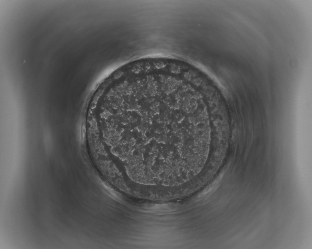X0000111831367200908061147