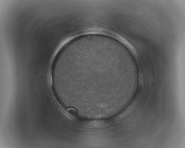 X0000111831368200908061147