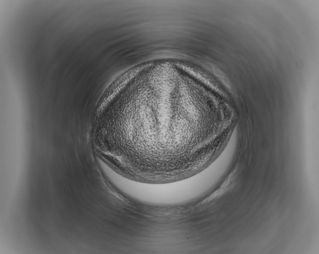 X0000111831369200908061147