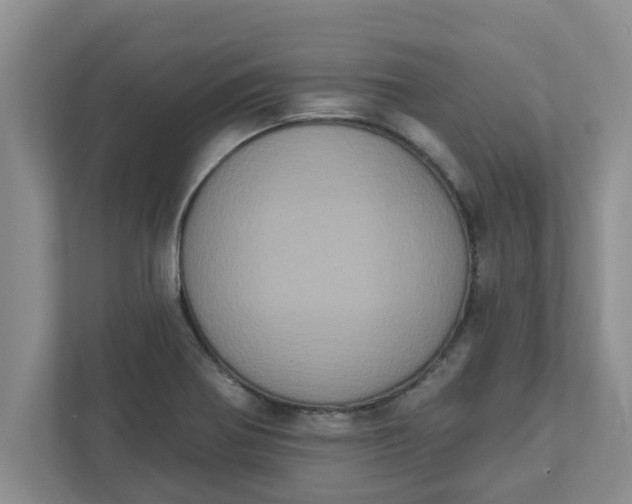 X0000111831370200908061147