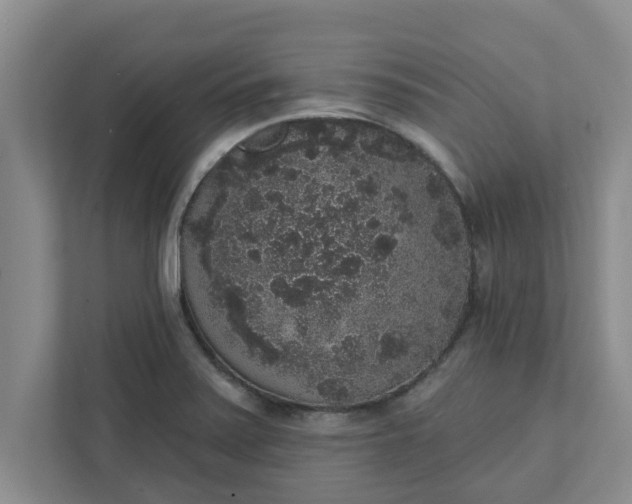 X0000111831371200908061147