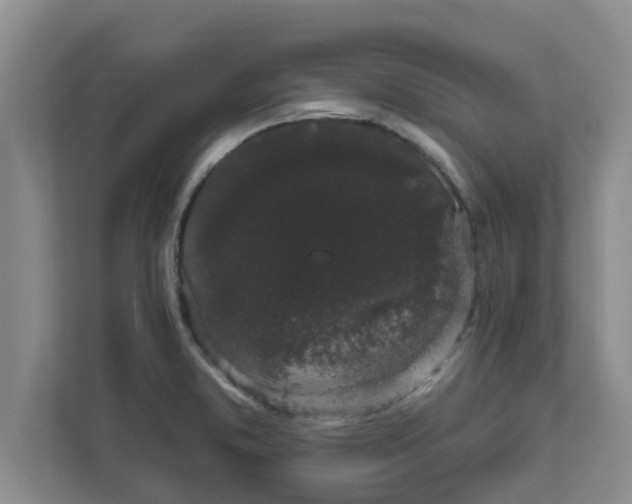 X0000111831373200908061147