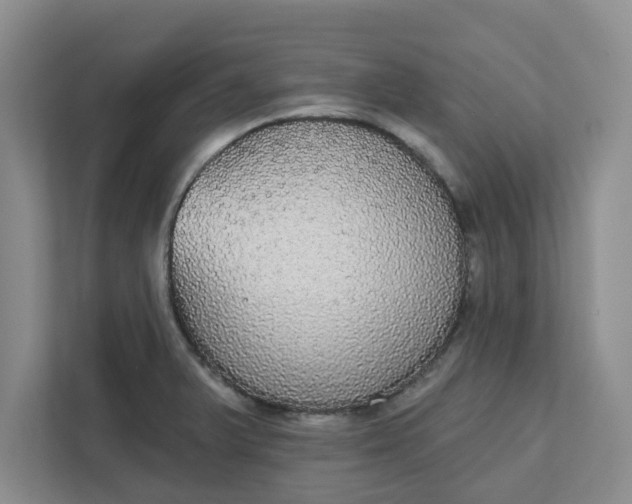 X0000111831375200908061147