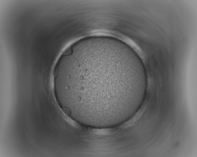 X0000111831376200908061147