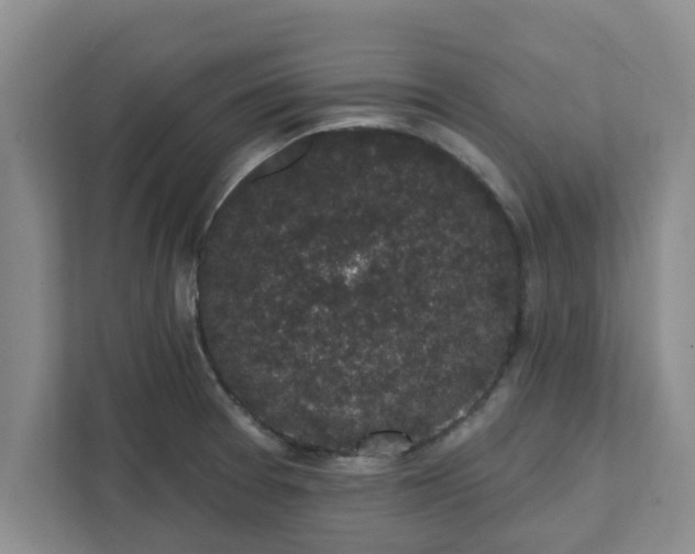 X0000111831377200908061147