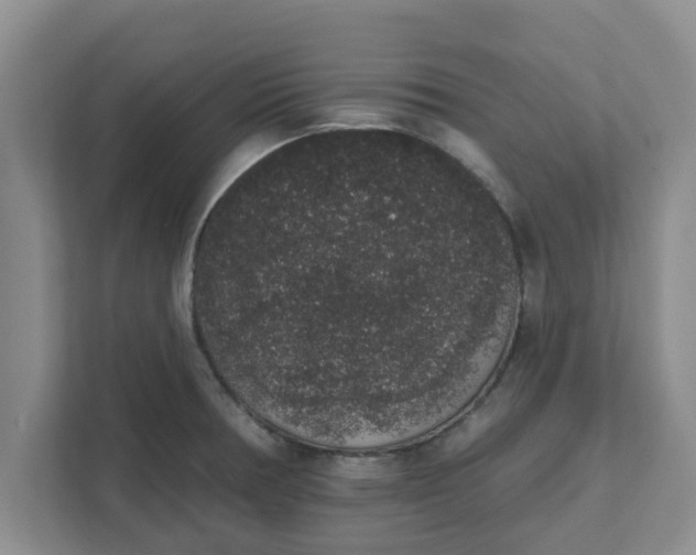 X0000111831378200908061147