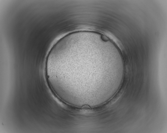 X0000111831379200908061147