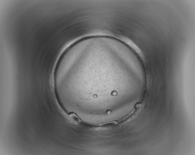 X0000111831380200908061147