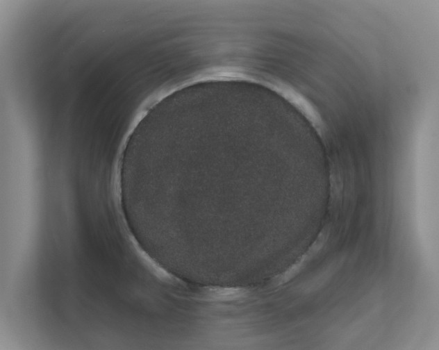X0000111831382200908061147