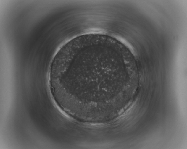 X0000111831383200908061147