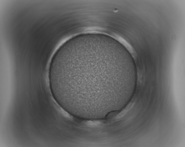 X0000111831384200908061147