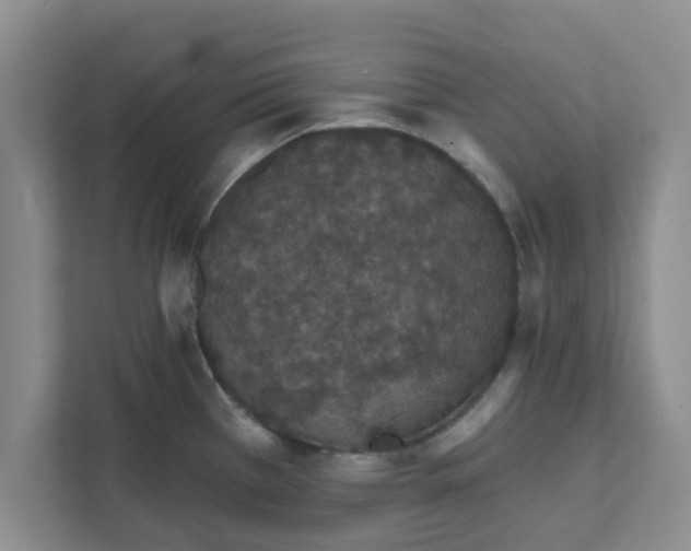 X0000111831385200908061147