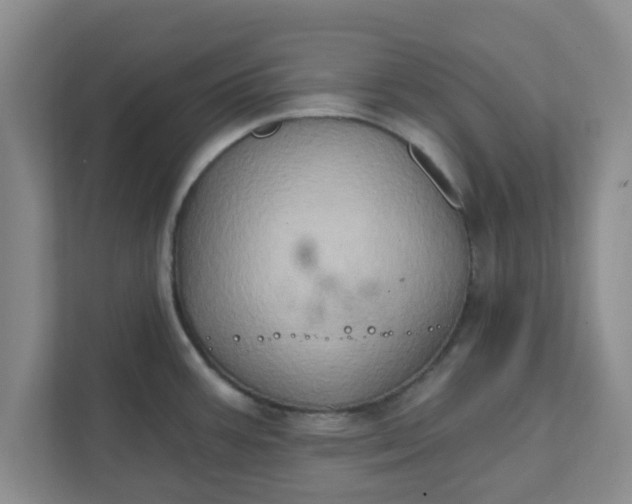 X0000111831387200908061147