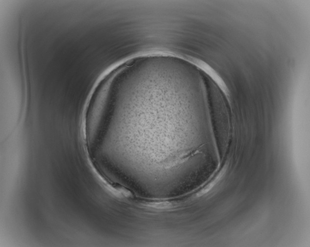 X0000111831388200908061147