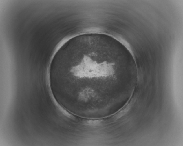 X0000111831389200908061147