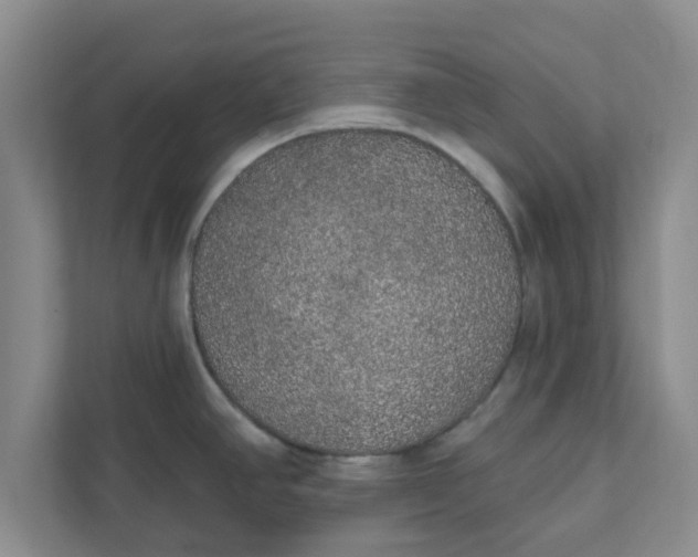 X0000111831390200908061147