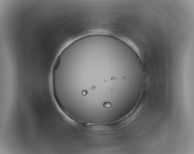 X0000111831391200908061147