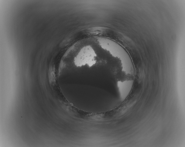 X0000111831394200908061146