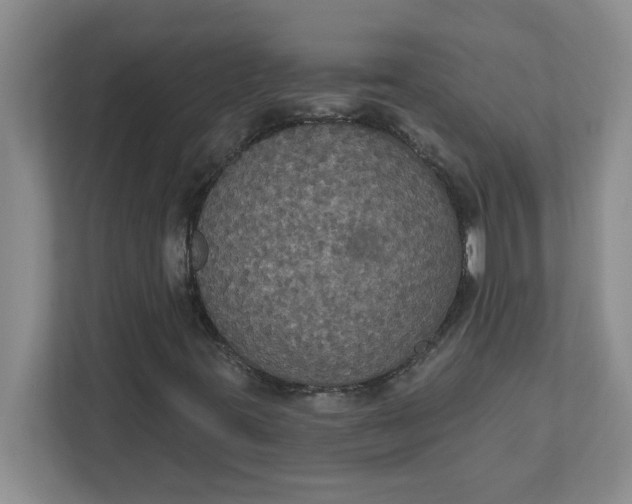 X0000111831395200908061146