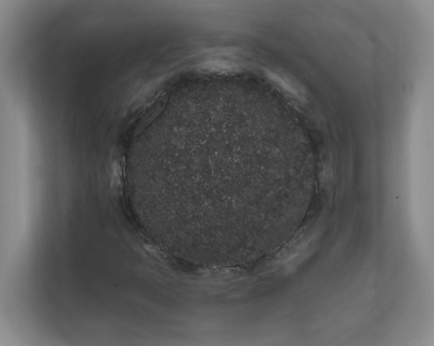 X0000111831397200908061146