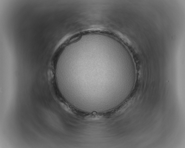 X0000111831400200908061146