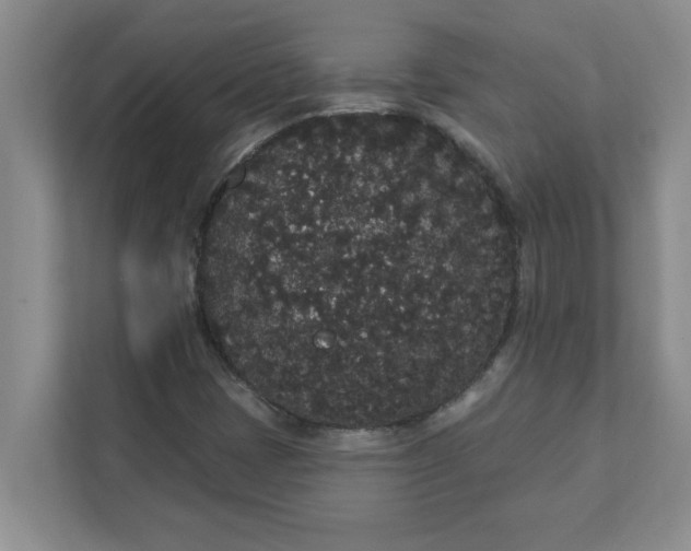 X0000111831401200908061146