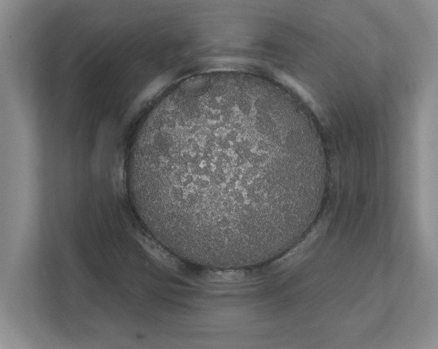 X0000111831403200908061146