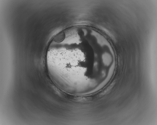 X0000111831405200908061146
