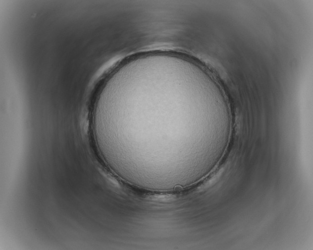 X0000111831406200908061146