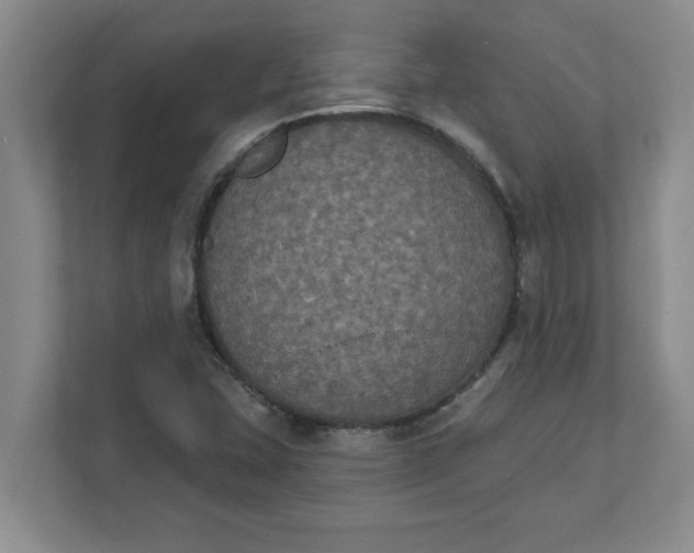 X0000111831407200908061146