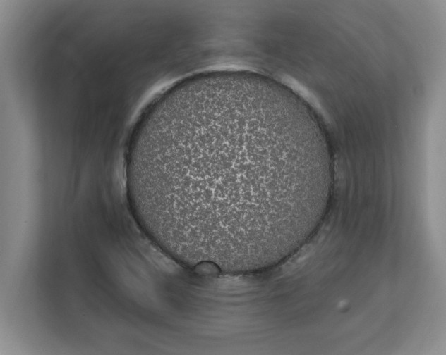 X0000111831408200908061146