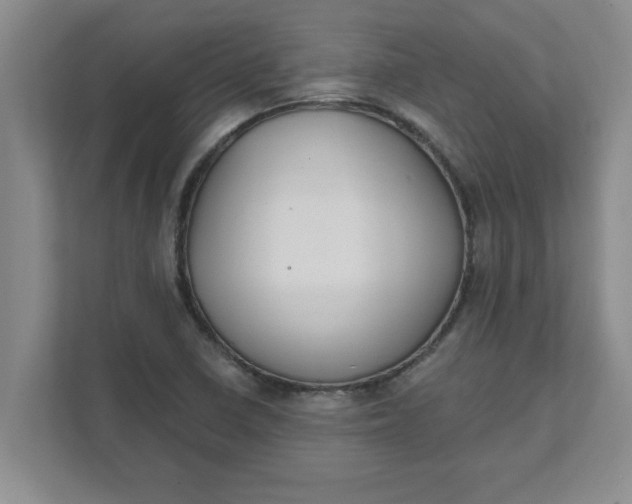 X0000111831410200908061146