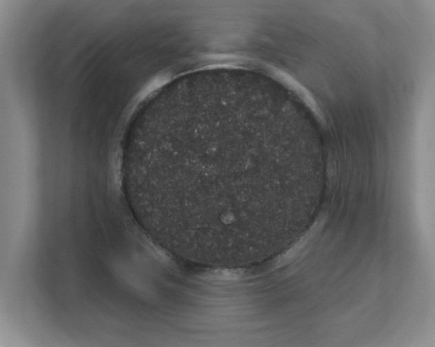 X0000111831411200908061146