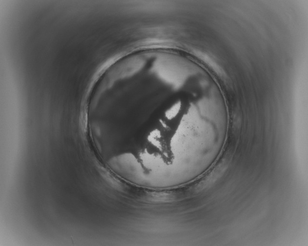 X0000111831413200908061146