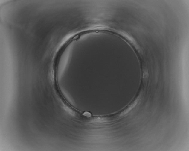 X0000111831414200908061146