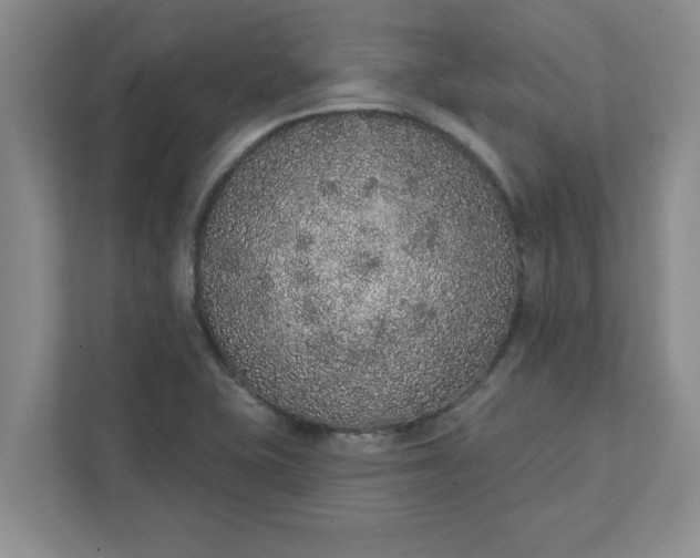 X0000111831415200908061146