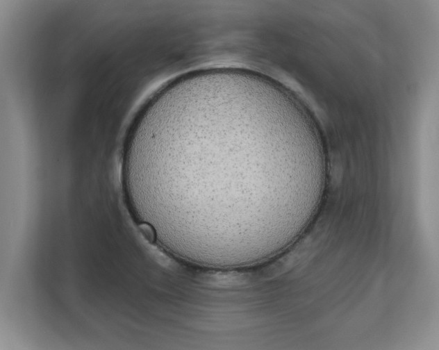 X0000111831416200908061146