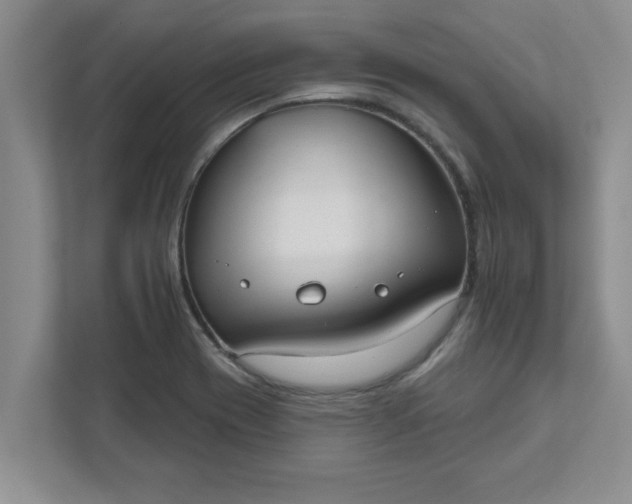 X0000111831417200908061146