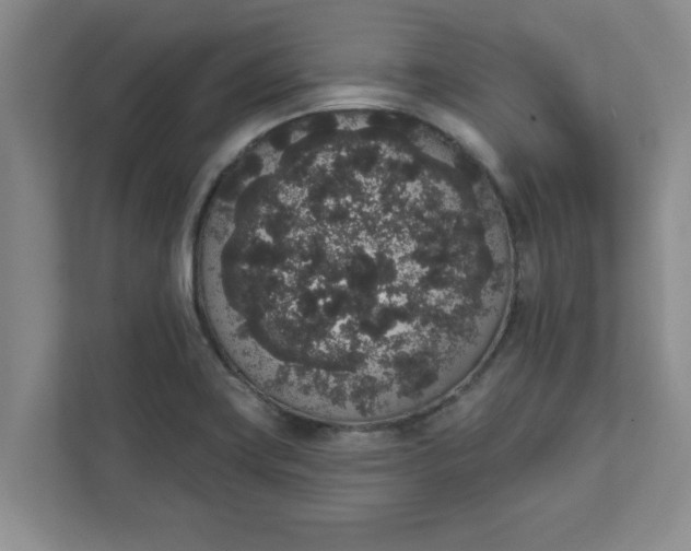 X0000111831419200908061146
