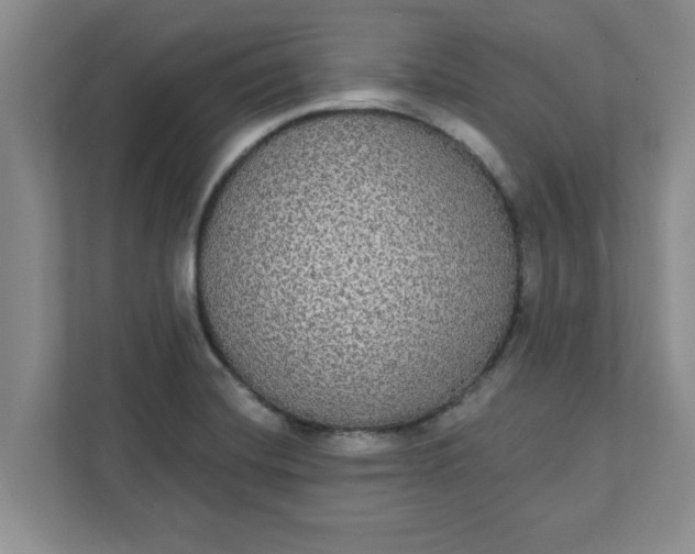 X0000111831420200908061146