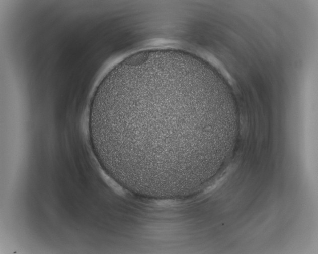 X0000111831421200908061146