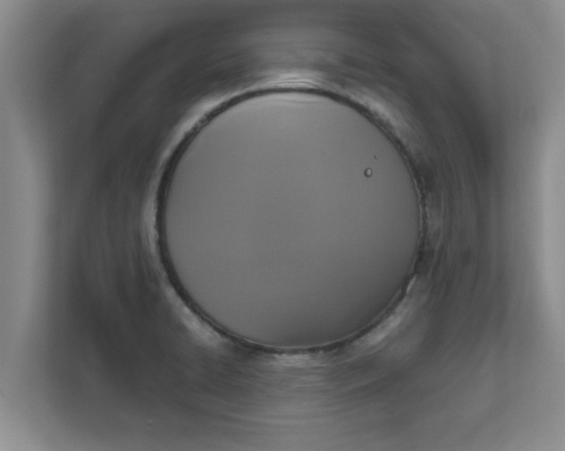 X0000111831422200908061146
