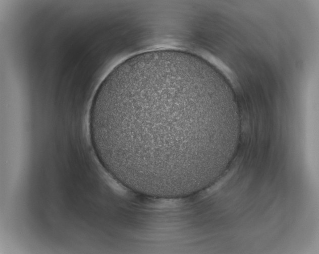 X0000111831423200908061146