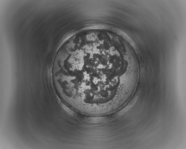 X0000111831425200908061146